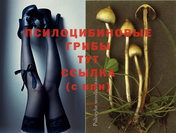 марки nbome Пестово