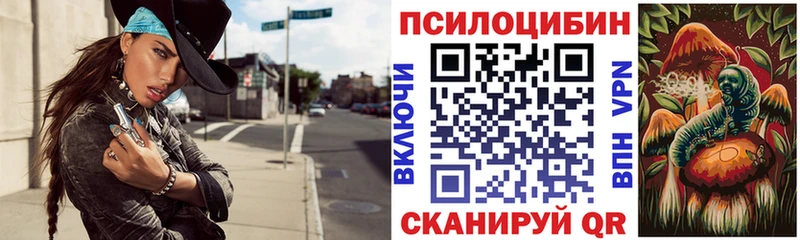 Галлюциногенные грибы мицелий  Купить  Ильский 